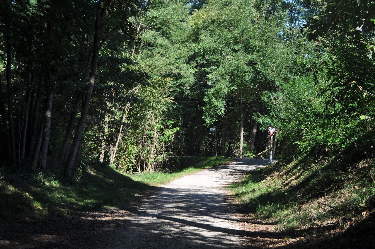 Villa Fior Di Robinia Giavera del Montello Dış mekan fotoğraf